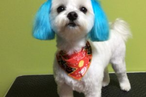 12月のお友達☆