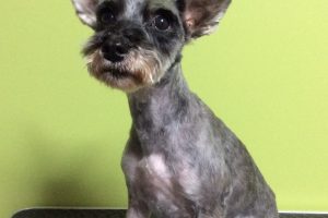 12月のお友達☆