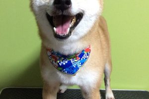 12月のお友達☆