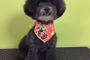 12月のお友達☆