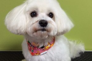 12月のお友達☆