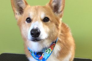 １月のお友達☆