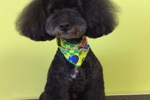 １月のお友達☆