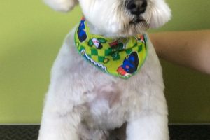 １月のお友達☆