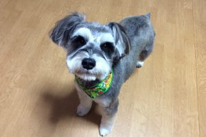 1月のお友達&お泊り☆