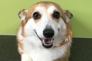 5月のお友達☆