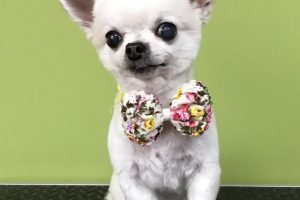 5月のお友達☆