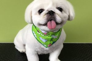 5月のお友達☆