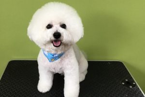 5月のお友達☆