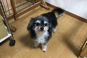 お泊り☆