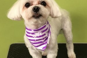 5月のお友達☆