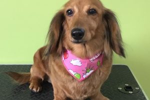 5月のお友達☆