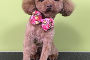 5月のお友達☆