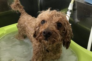 5月のお友達☆