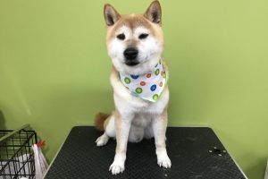 5月のお友達☆