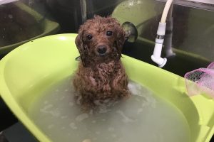 5月のお友達☆