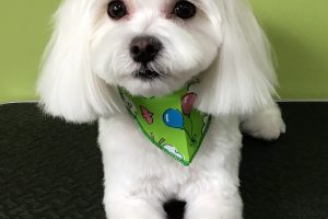 5月のお友達☆