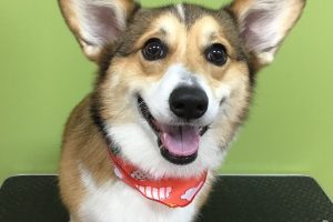 5月のお友達☆