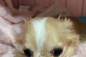 お泊り☆