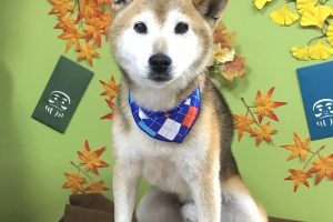 11月のお友達☆