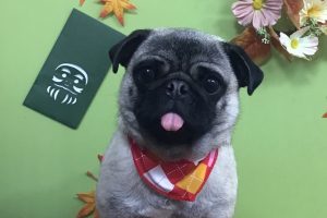 11月のお友達☆