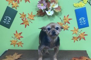 11月のお友達☆