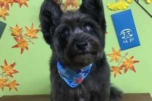 11月のお友達☆