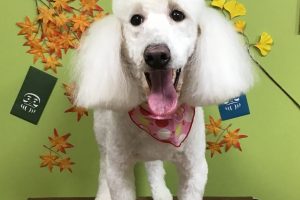 11月のお友達☆