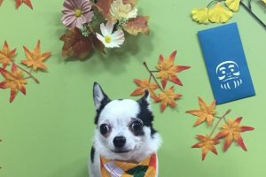 11月のお友達☆