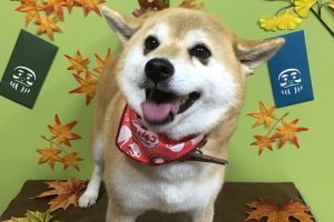 11月のお友達☆