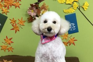 11月のお友達☆
