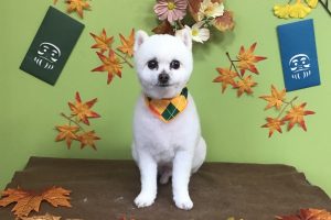 11月のお友達☆