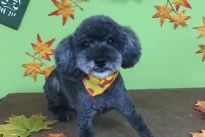 11月のお友達☆