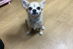 お泊り☆