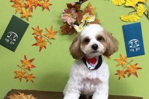 11月のお友達☆