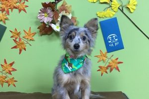 11月のお友達☆