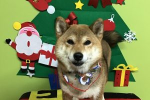 １２月のお友達☆