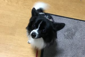 お泊り☆