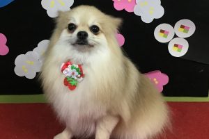 1月のお友達☆