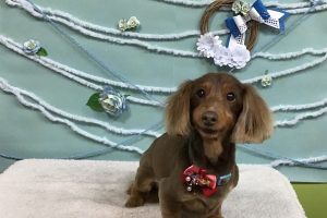 3月のお友達☆