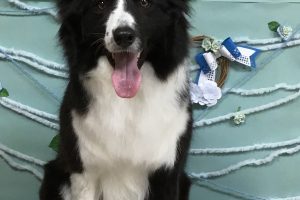 3月のお友達☆
