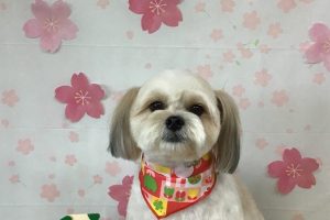 4月のお友達☆
