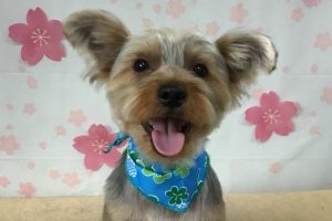 4月のお友達☆