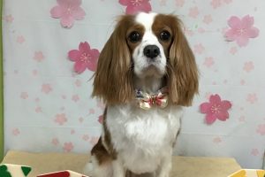4月のお友達☆