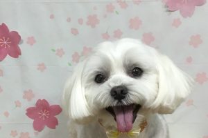 4月のお友達☆