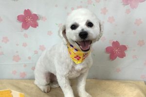 4月のお友達☆