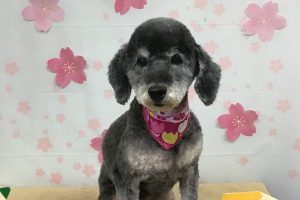 4月のお友達☆