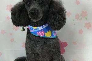 4月のお友達☆
