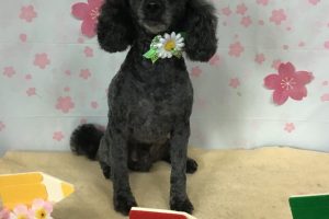 ４月のお友達☆