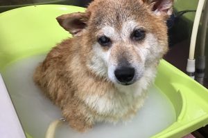 4月のお友達☆